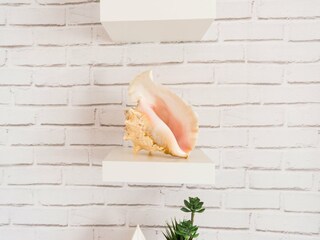 Appartement Torremolinos  39