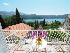 Apartments & Room Eva Slano - Double Room with Balcony and Sea View (Kamara) - Šipanska Luka - image1