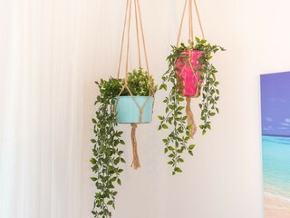 Apartment Torremolinos  67