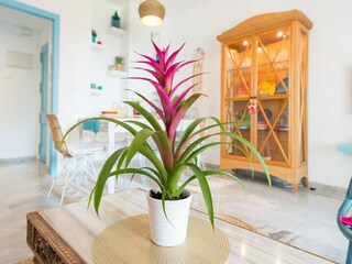 Apartment Torremolinos  66