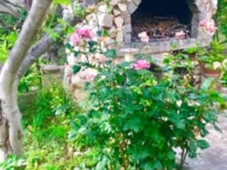 Appartement Brodarica Buitenaudio-opname 16
