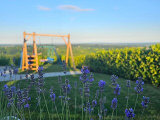 Villa Welt Grabación al aire libre 7