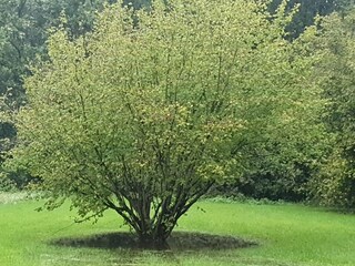 Holiday apartment Horumersiel Environment 37