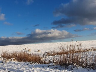 Holiday apartment Horumersiel Environment 38