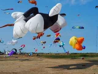 Holiday apartment Horumersiel Environment 32