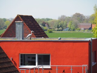 Holiday apartment Horumersiel Outdoor Recording 6