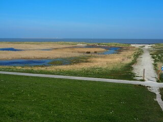 Holiday apartment Horumersiel Environment 31