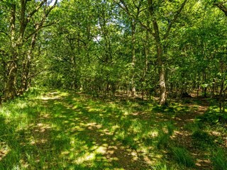 Vakantiehuis Ejstrupholm Buitenaudio-opname 8