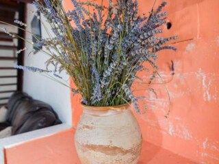 Apartamento Veli Losinj Características 10