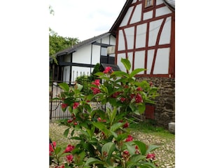 Noch ein Blick in den Hof