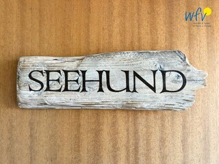 Vakantieappartement Borkum Buitenaudio-opname 16