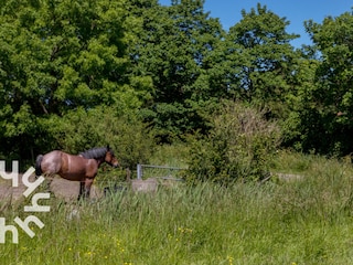 Holiday house Gapinge Environment 40