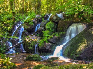 Appartamento per vacanze Bühl Ambiente 24