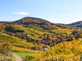 Apartamento de vacaciones Bühl Entorno 27