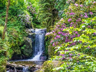 Appartamento per vacanze Bühl Ambiente 28