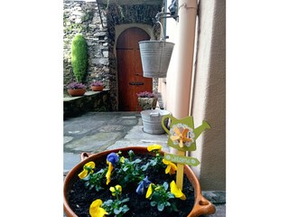 Teil des privaten Innenhofs