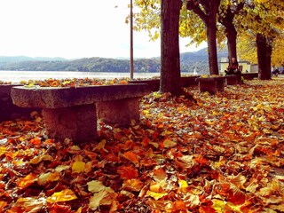 Holiday apartment Orta San Giulio Environment 27