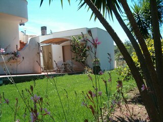 Villeriunite - Villa Mimosa - Outdoor