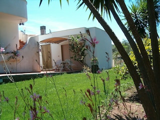 Villeriunite - Villa Mimosa