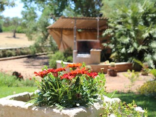 Villeriunite - Villa Mimosa - Barbecue