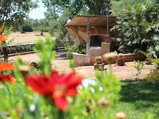 Villeriunite - Villa Mimosa - Outdoor garden