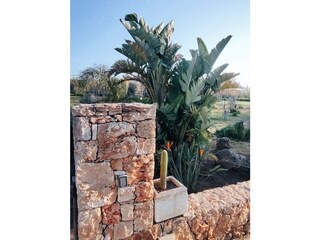 Villeriunite - Villa Mimosa - Garden and access keypad