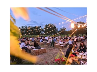 Villeriunite - Villa Mimosa - Cantine