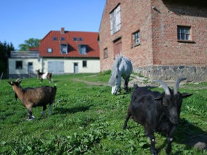 Landhaus beim Schloss Ulrichshusen am See - Hinrichshagen - image1