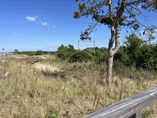 Ferienhaus Zandvoort Außenaufnahme 10