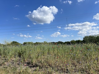 Ferienhaus Zandvoort Umgebung 17