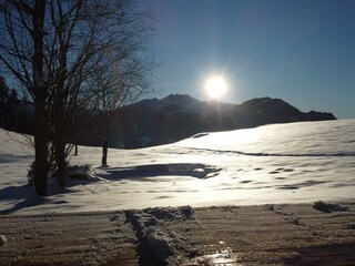 Ferienhaus Dauerstein_Alpbachtal_Reith_Aussicht
