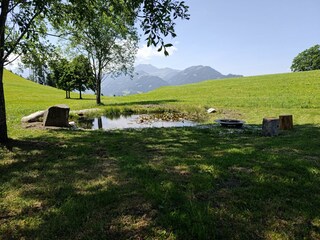 IMG_20250619_114517-min