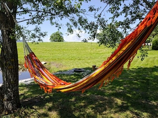 IMG_20250619_114449-min