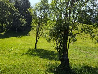 IMG_20250619_114958-min