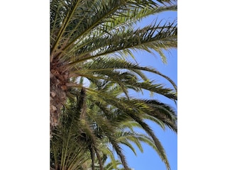 Ferienwohnung Costa Calma Umgebung 33