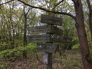 Ferienwohnung Bad Wildungen Umgebung 15