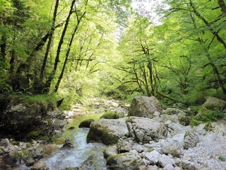 Apartment Mel Umgebung 35