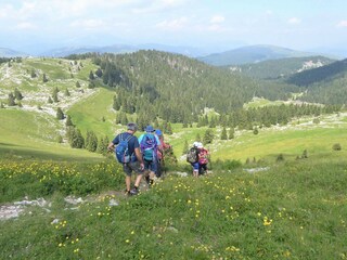 Apartment Mel Umgebung 34