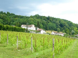 Appartement Mel Buitenaudio-opname 5