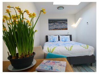 Vakantiehuis Egmond aan Zee Buitenaudio-opname 1