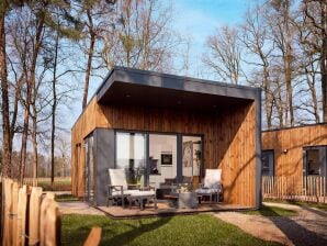 Villa Amalia confortable pour 2 personnes au Hofparken Wiltershaar Retreat - Kotten - image1