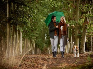 Maison de vacances Kotten  8