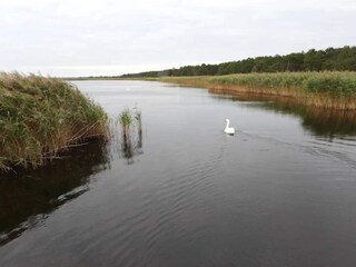 Vakantiehuis Vig  57