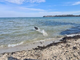 Ferienhaus Hejlsminde  39