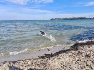 Holiday house Hejlsminde  37