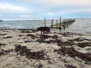 Vakantiehuis Hejlsminde  27