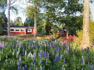 Vakantiehuis Zinkgruvan Buitenaudio-opname 3