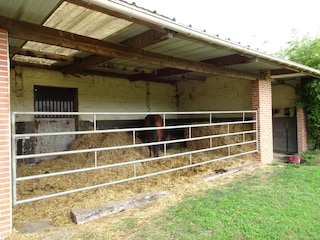 Ferienhaus Denneville Außenaufnahme 2