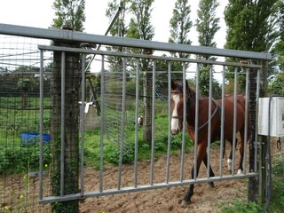 Ferienhaus Denneville Außenaufnahme 3