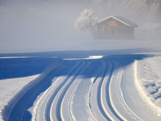 Appartamento Au in Vorarlberg Registrazione all'aperto 12